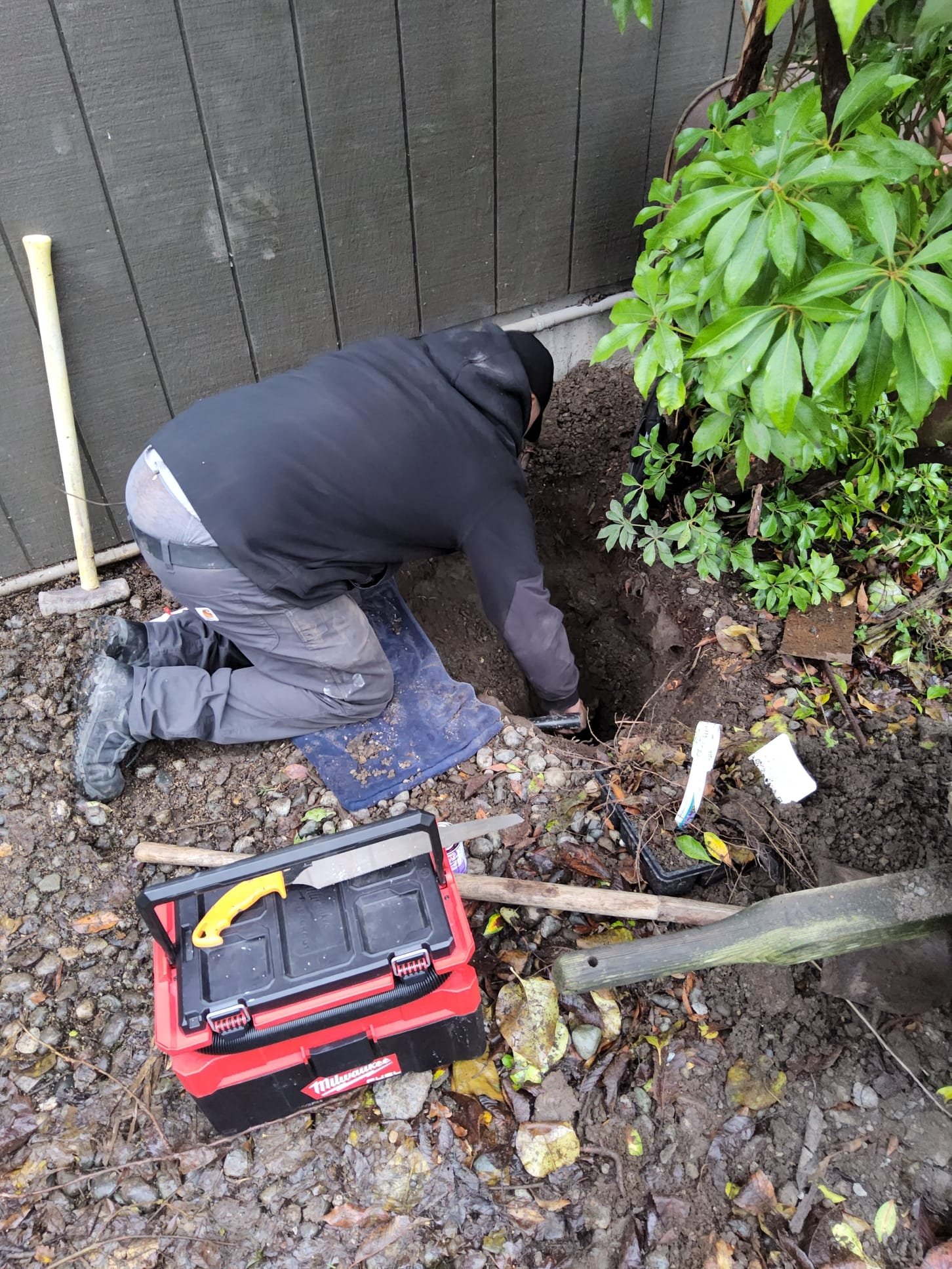 Septic tank lid opened for scheduled pumping service at a Whatcom County home