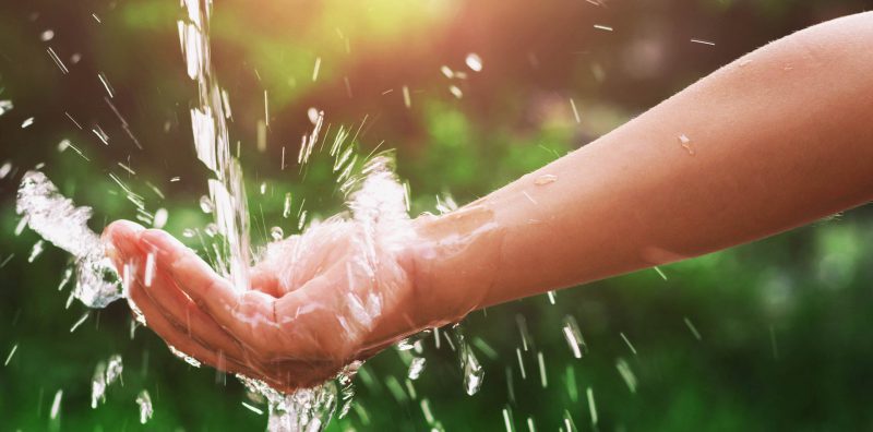 Water quality analysis informing a whole house filtration system design